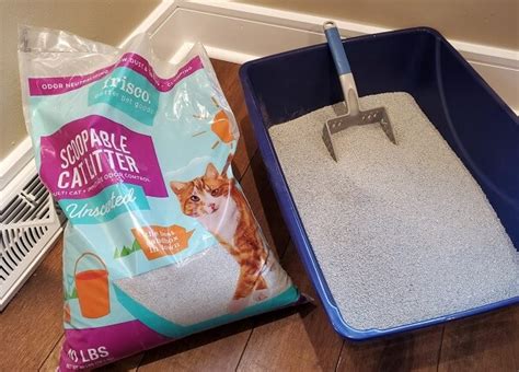 best budget clumping cat litter.